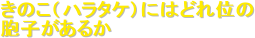 ���̂��i�n���^�P�j�ɂ͂ǂ�ʂ�
�E�q�����邩