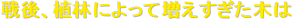 ���A�A�тɂ���đ����������؂�