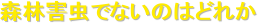 �X�ъQ���łȂ��̂͂ǂꂩ